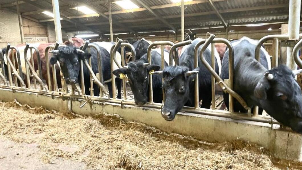 Lakenvelder boerderij Boterhuis